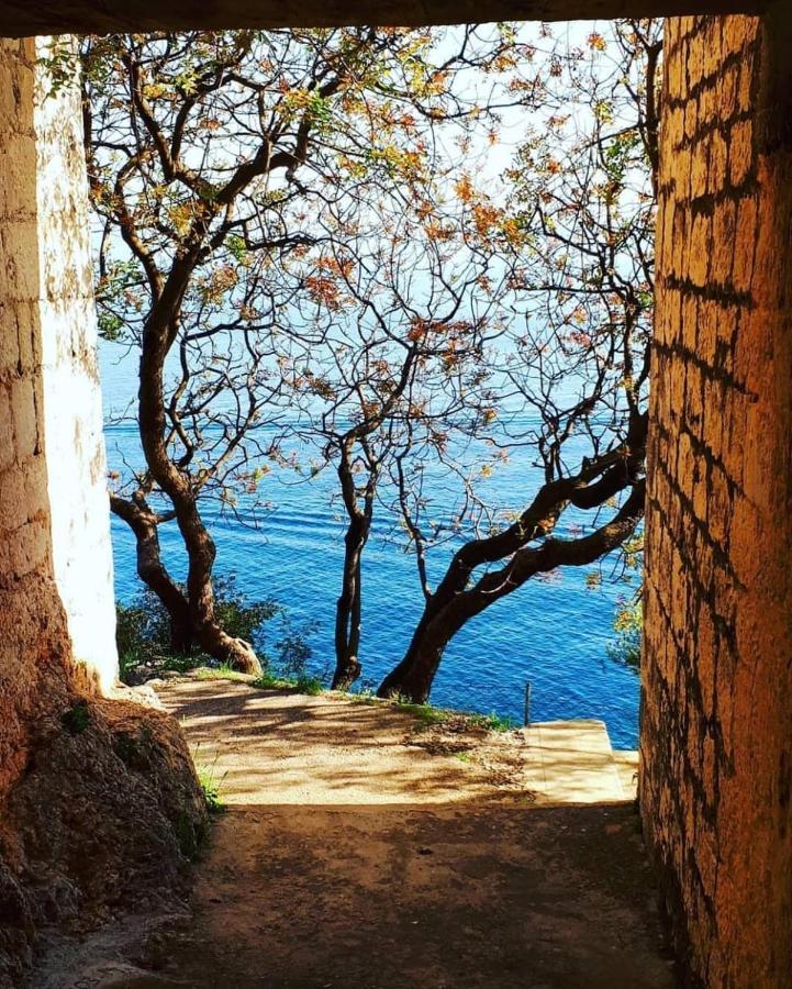Eden Mediterranean House Vrsine Bagian luar foto